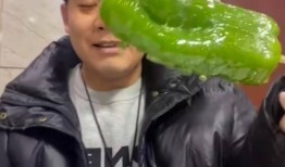 网红吃瓜胖子图片大全高清,趣味横生的美食瞬间